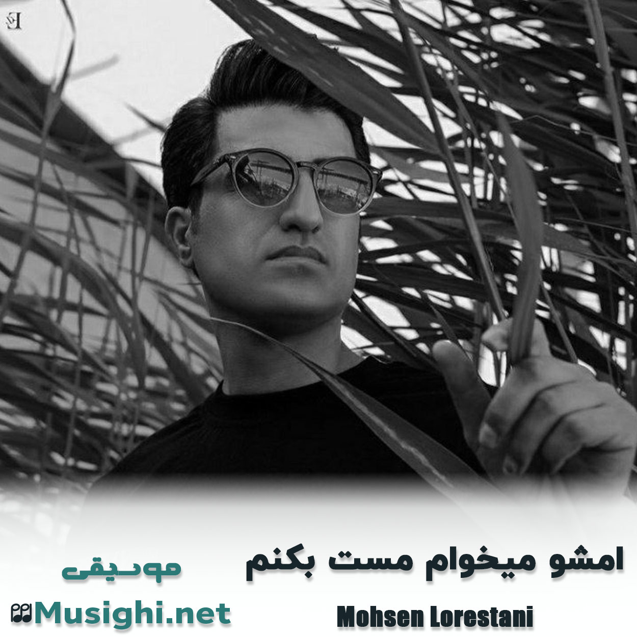 دانلود اهنگ امشو میخوام مست بکنم محسن لرستانی